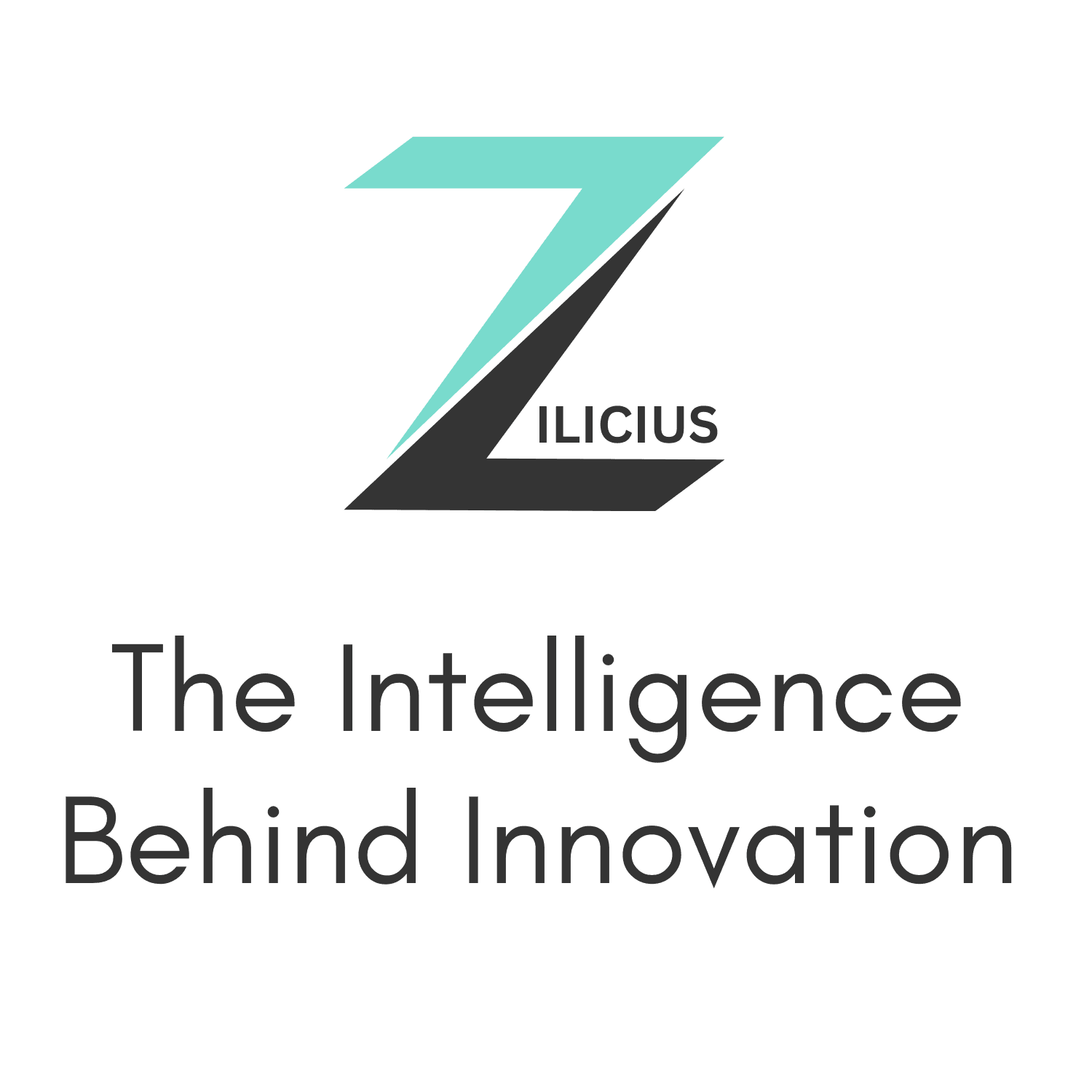 Zilicius Restaurant POS System