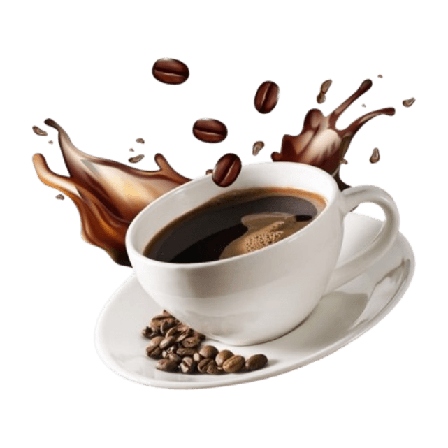 cafe Management Software Dashboard for POS, Inventory Management and Multi Outlet Restaurant Operations